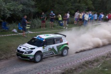 Viorel Zainea
