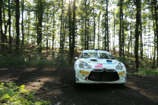 foto: Rally Cow