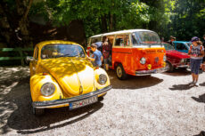 VW Beetle și VW Transporter